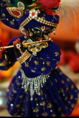 656c7a0f429f17d56a4fb31a5c204701